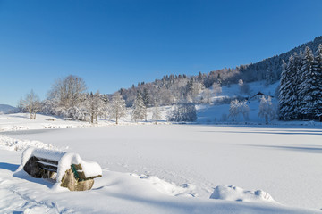Lac gelé des Vosges
