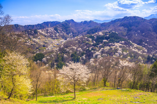 7 Best 陸郷桜仙峡 Images Stock Photos Vectors Adobe Stock