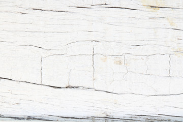Grunge white wood.