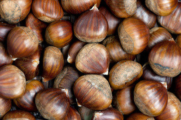raw sweet chestnut