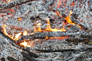 Wood burning ashes