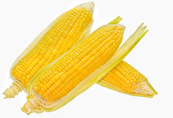 Corn