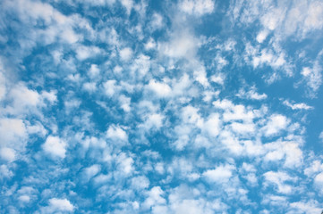 Obraz premium Утреннее небо с облаками