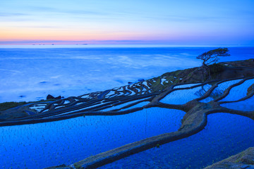 Rice terraces at twilight, Shiroyone senmaida