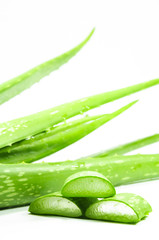Aloe
