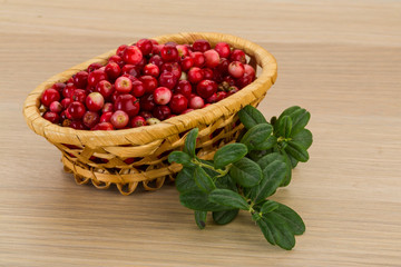 Cowberry