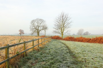 Obraz premium Frosty country morning