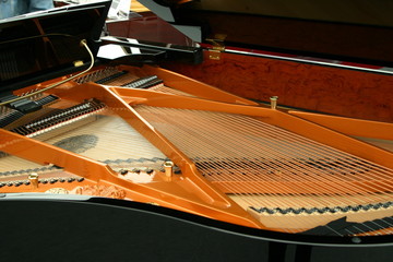 Piano Inside - 75547647
