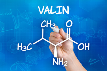 Hand mit Stift zeichnet chemische Strukturformel von Valin