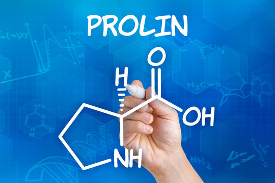 Hand mit Stift zeichnet chemische Strukturformel von Prolin