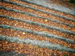 Treppe mit Herbstlaub - Rutschgefahr...