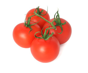 fresh tomatoes on branch
