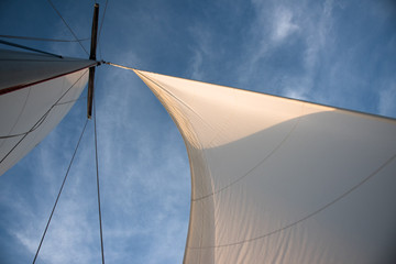 White sails against blue sky