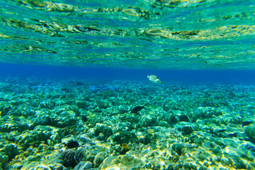 Underwater