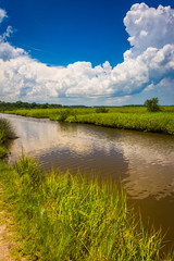 Marsh in Tomoka State Park, Florida.