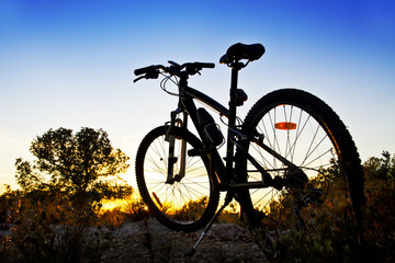 Naklejka na ściany i meble bicicleta de montaña en el paisaje