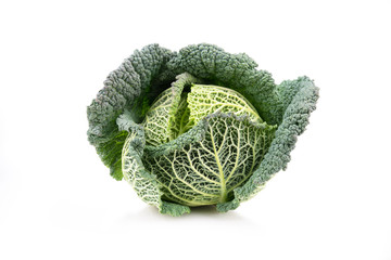 fresh savoy cabbage