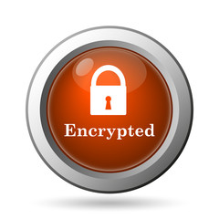 Encrypted icon