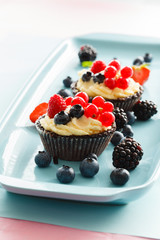 berries tart