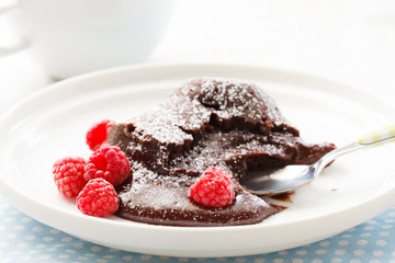chocolate dessert with raspberries