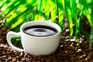 Kaffee für alle