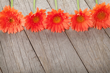 Wooden background with orange gerbera