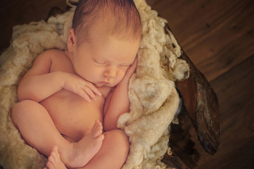 Small Sleeping Newborn Baby on Basket
