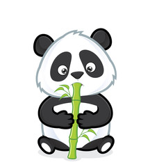 Naklejka premium Panda eating bamboo