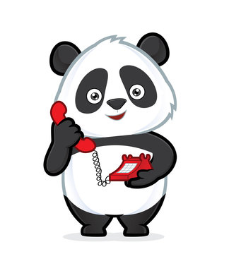 Panda holding a phone