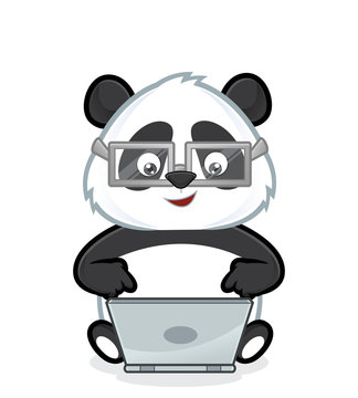 Panda with laptop