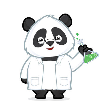 Professor panda