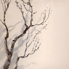 Watercolor painting. Bare branches of an old tree