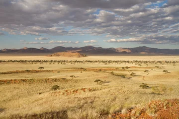 Foto auf Acrylglas Namibian landscape © Morenovel