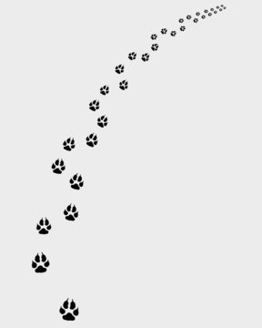 Trail of dogs, turn right, vector illustration