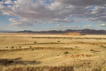 Deurstickers Namibian landscape © Morenovel