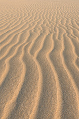 Fototapeta premium Waves on sand dunes in Chaves beach Praia de Chaves in Boavist