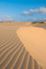  Waves on sand dunes  in Chaves beach Praia de Chaves in Boavist