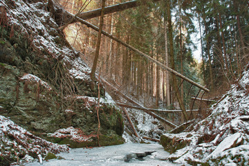 Damaged fallen trees on creek in valley in winter  after strong