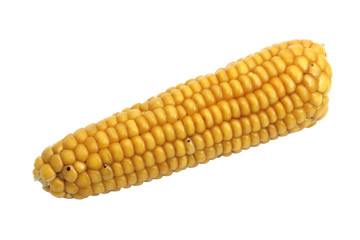 CornCob isolated