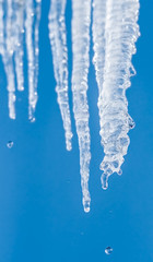 Sunny icicles against the blue sky