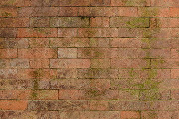Old Bricks with Moss Background
