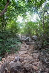 Walkway in  Mountains ,Samroiyod nation park, Thailand.
