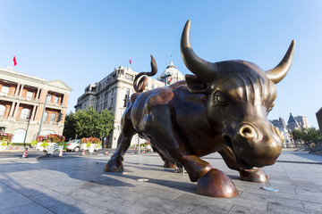Fototapeta premium Copper Bull statue on the modern city street of shanghai.