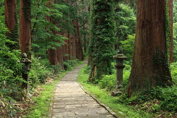 羽黒山参道杉並木