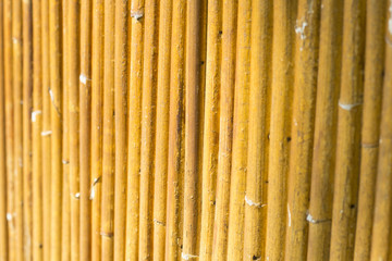 bamboo background