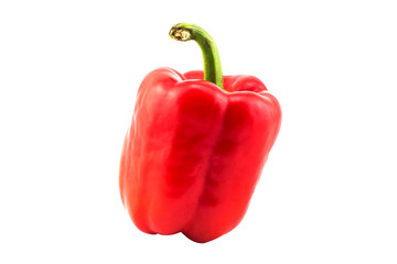 Single red pepper on white background with isolated