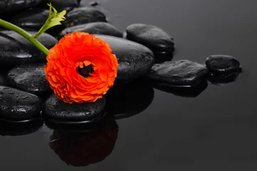 Gordijnen still life with black pebbles and ranunculus flower © Mee Ting