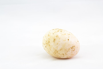 Fototapeta premium dirty duck egg on white background