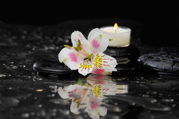 Still life with orchid with therapy stones and white candle