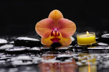 orange orchid with yellow candle and therapy stones
